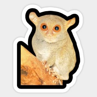 Tarsier animal Sticker